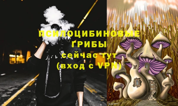 не бодяженный Богданович